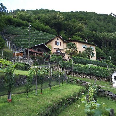 Casa Immersa Nel Vigneto Roveredo Екстер'єр фото
