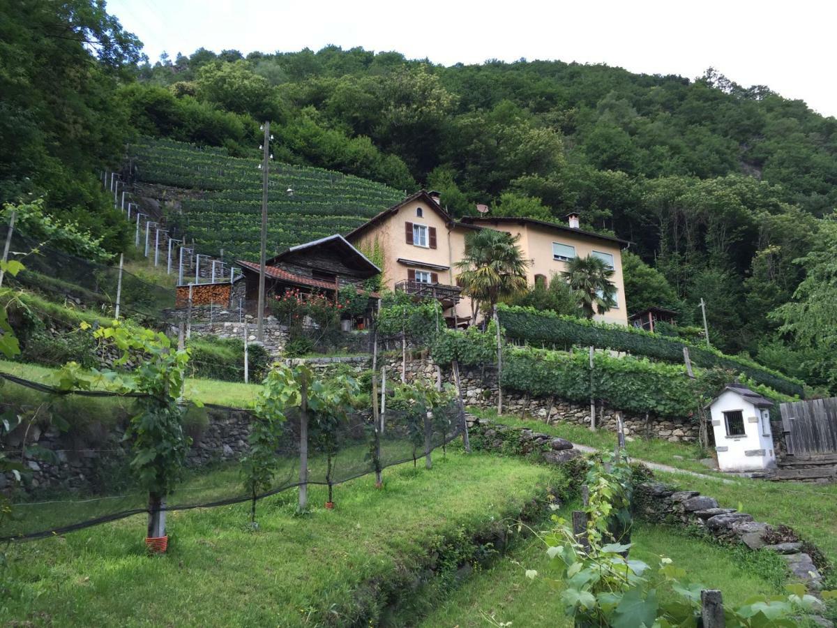 Casa Immersa Nel Vigneto Roveredo Екстер'єр фото
