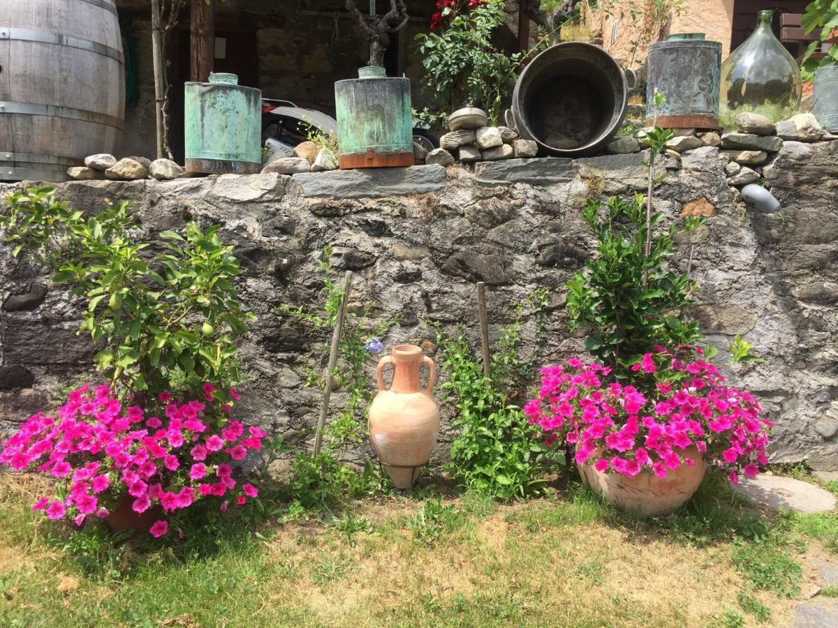 Casa Immersa Nel Vigneto Roveredo Екстер'єр фото