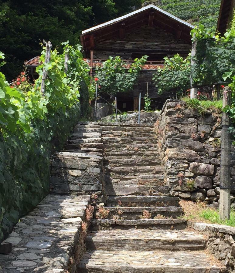 Casa Immersa Nel Vigneto Roveredo Екстер'єр фото