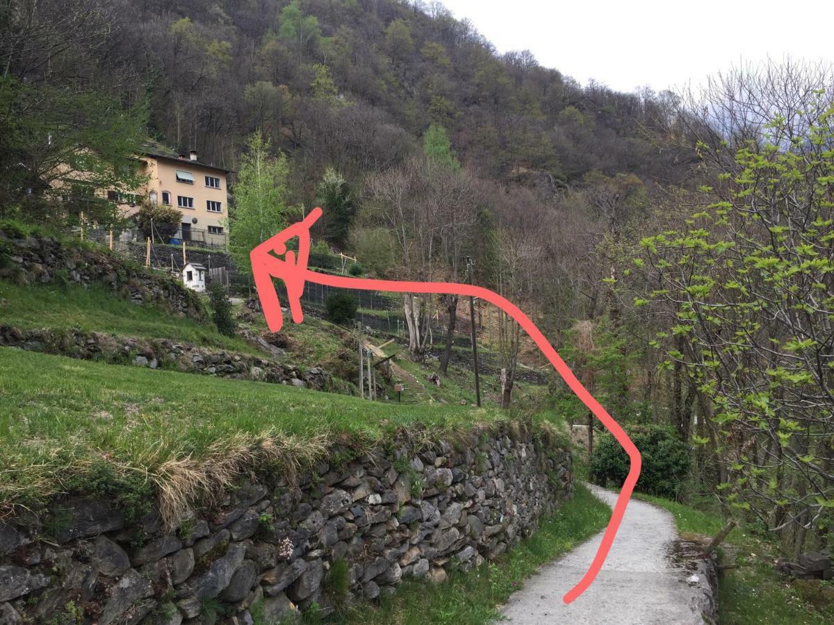 Casa Immersa Nel Vigneto Roveredo Екстер'єр фото